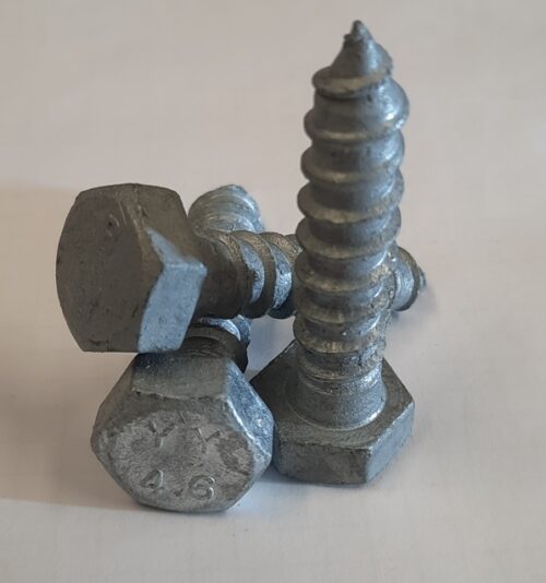 Coach Screw CL4.6 Galv 12mm x 75