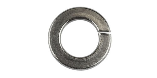 Washer Spring SS316 20mm